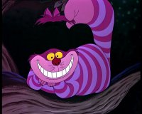 Cupcake.Ninja Cupcake.Ninja